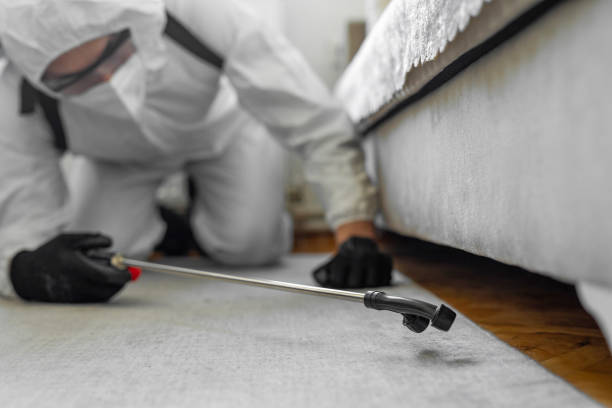 Professional Cockroach Control technician working in East Hemet, CA