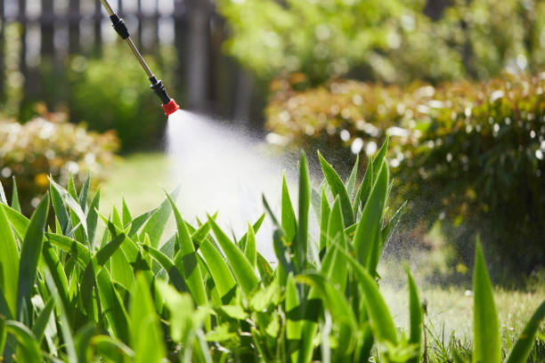 24/7 Emergency Cockroach Control experts in East Hemet, CA